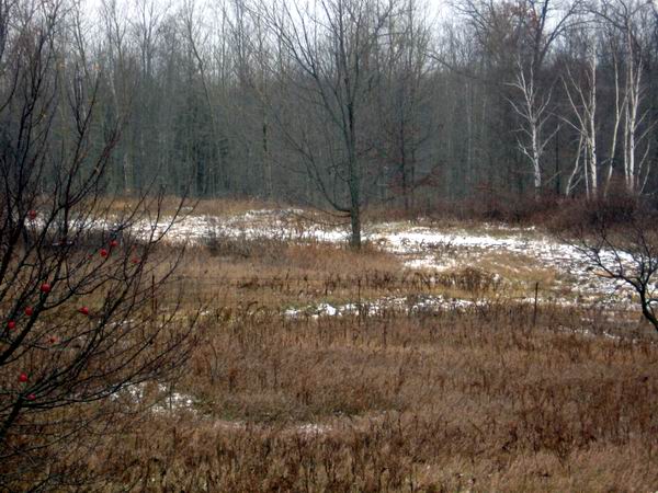 West Branch Speedway (Rau and I-75) - November 2006 (newer photo)